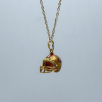 Collar San Francisco 49ers