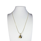 Collar Pittsburg Steelers