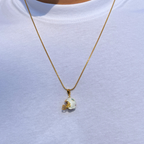 Collar Miami Dolphins