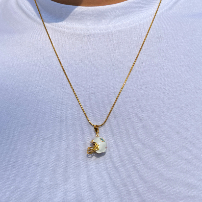 Collar Miami Dolphins
