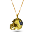 Collar Pumas UNAM