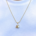 Collar Arizona Cardinals