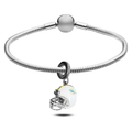 Charm Miami Dolphins