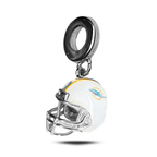 Charm Miami Dolphins