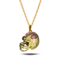 Collar San Francisco 49ers